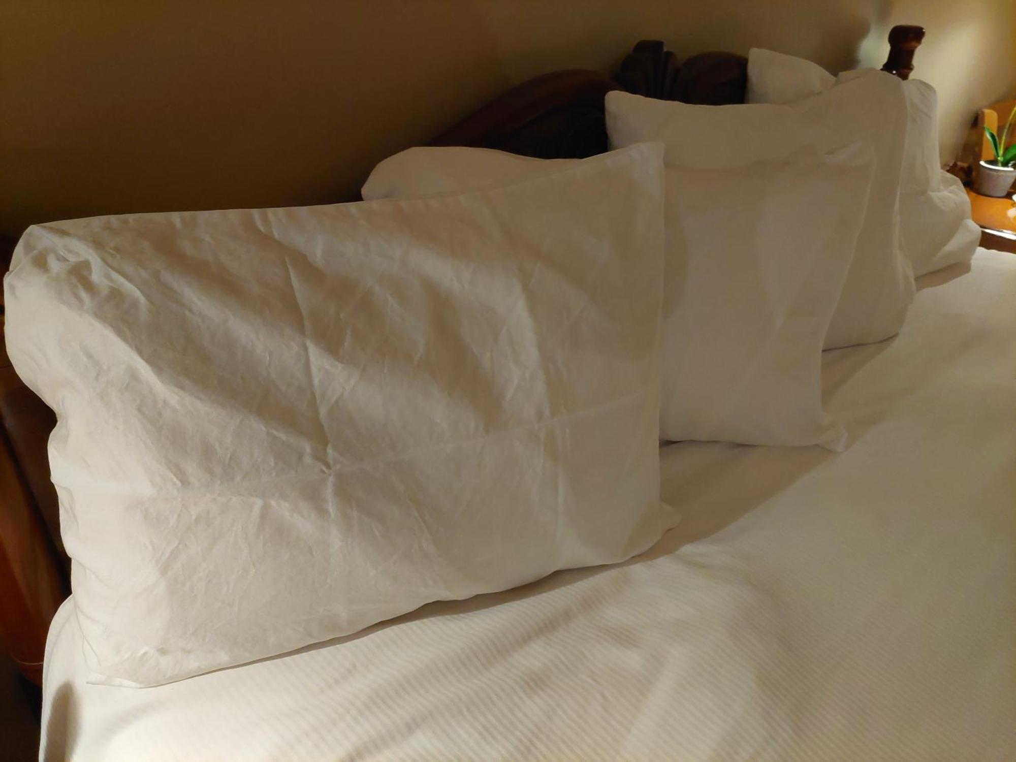 Studio-Hotel Villegiature Saint-Sauveur Piedmont المظهر الخارجي الصورة